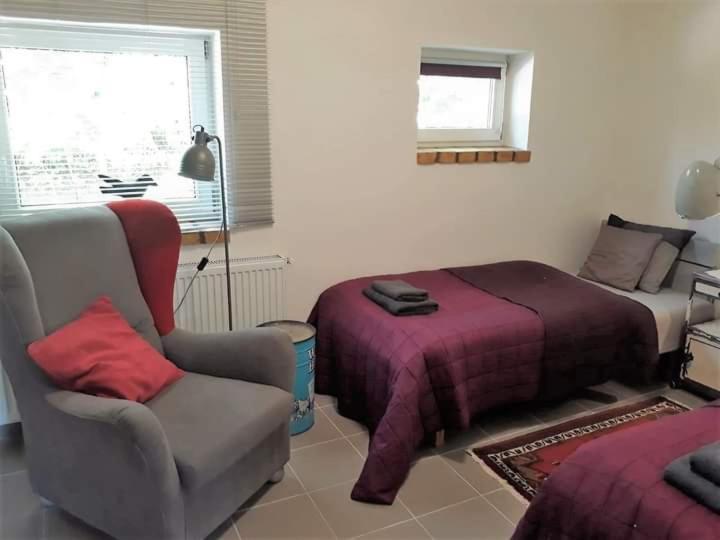 Dom Sztuk - House Of Arts Apartment Miedzyrzecz Bagian luar foto