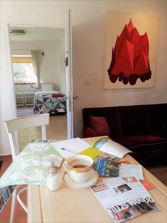 Dom Sztuk - House Of Arts Apartment Miedzyrzecz Bagian luar foto