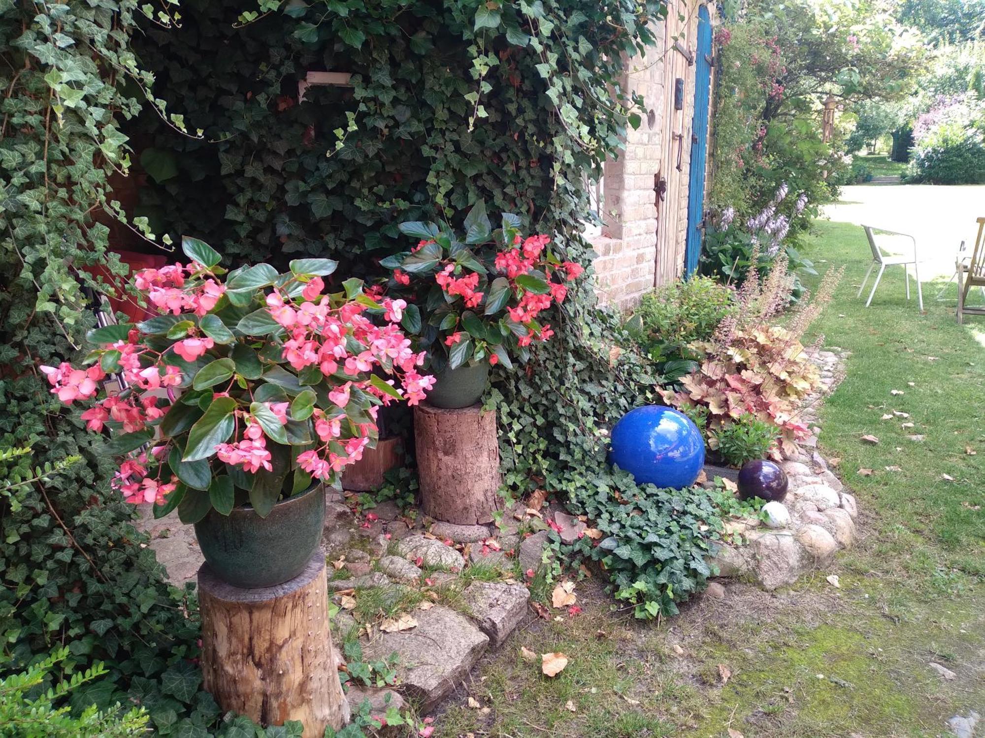 Dom Sztuk - House Of Arts Apartment Miedzyrzecz Bagian luar foto