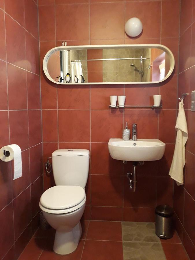 Dom Sztuk - House Of Arts Apartment Miedzyrzecz Bagian luar foto
